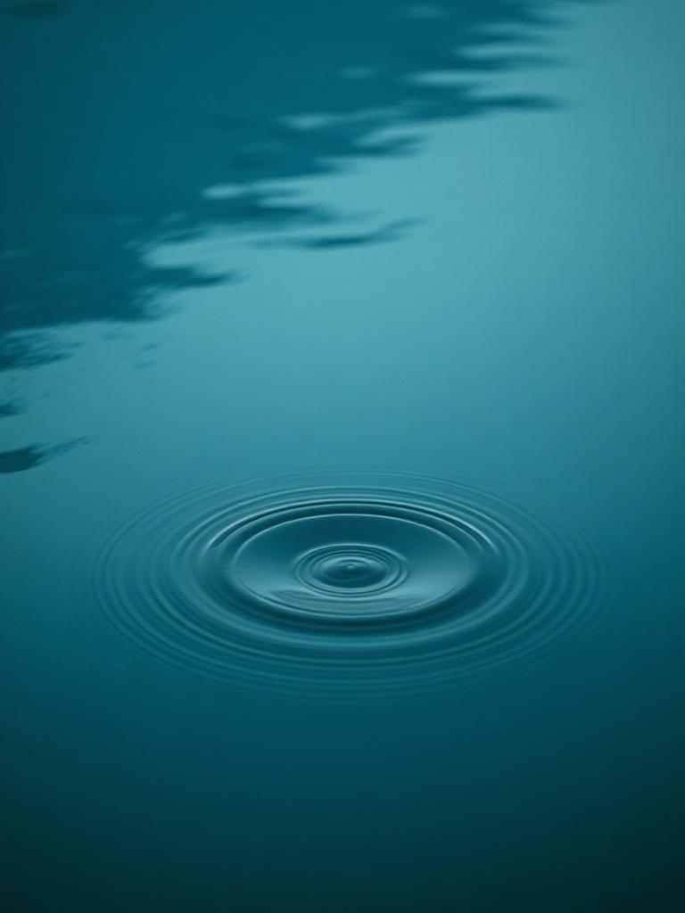 The Overthinker's Reset
